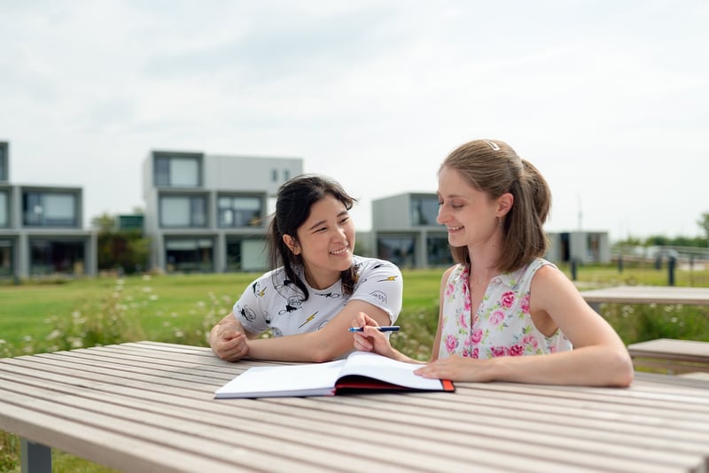 Mentorship Image